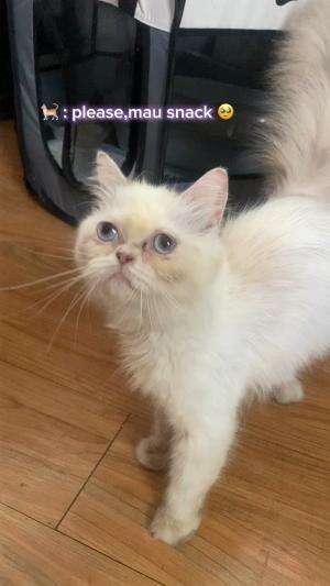 Ngemil snack = belajar hal baru 😂