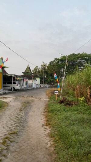 Suara alam yang bikin ridu dan khas banget dengan pedesaan yupsss #video #konten #viral #jedamergawe #fyp  #RCTIPlus  #HOTrctiplus  #RCTIoke