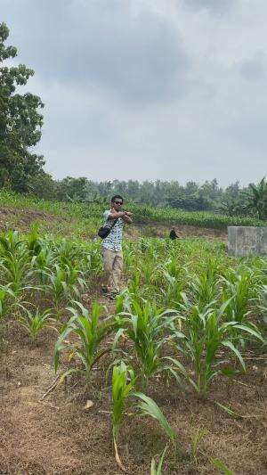 Bolang si bolang si bocah nyolong gedang wkwkw  #bolang  #petualang  #petani #jagung #sawah #rcti  #RCTIPlus  #HOTrctiplus  #icrcti  #RCTIok