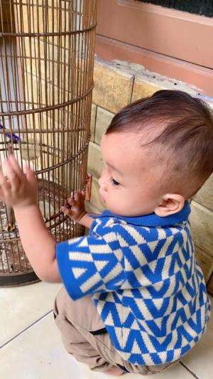 adek maenin burung