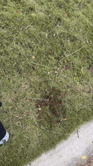 Nyore bareng sayangku