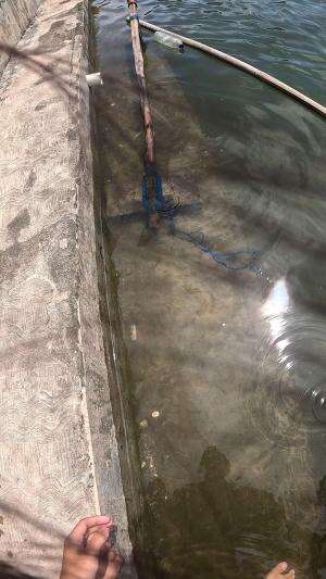 kalabur ey🤭 #usa #usareels #newyork #germany #fyp #australia #luksemburg #ingris #belanda #skils #shrimp #fisherman #selandiabaru #irlandia 