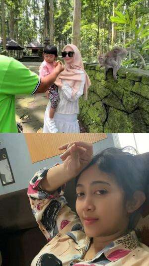 Monyet naik ke badan manusia  #videobinatang  #kocak  #vidiolucu  #reactiont  #RCTIPlus  #HOTrctiplus 
