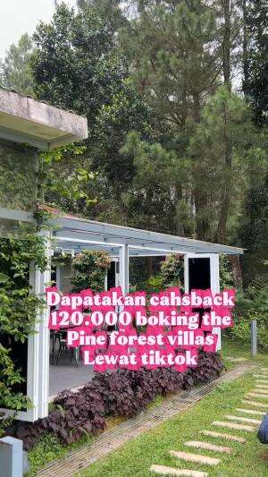 Tiktok @juniorjunioo