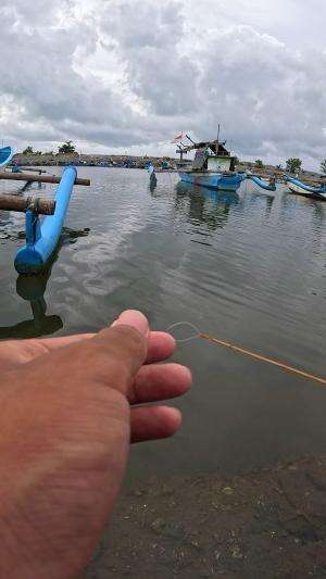 how to catch shrimp super fast and easy #fishing #usa #usareels #UnitedStates #unitedkingdom #denmark #canada