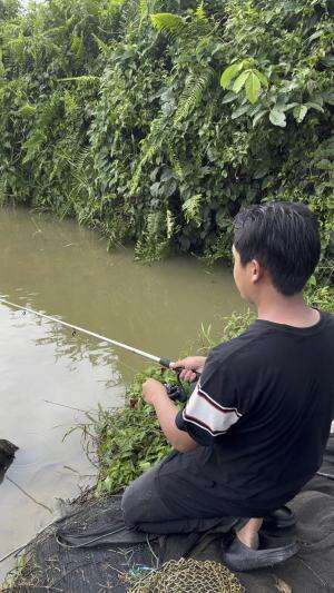 Dikolam ini ada ikan monster besar