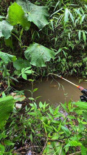 Joran super pentur disambar ikan misterius 