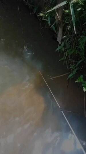 Mancing dikolam orang