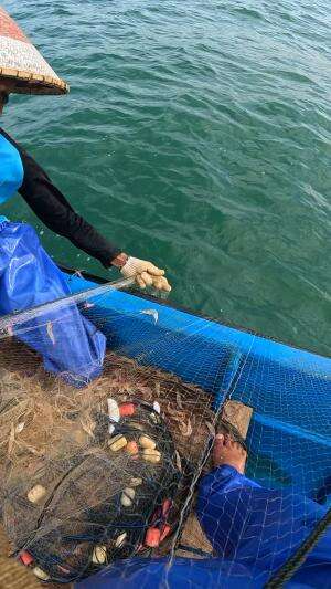 tarik jaring udang dari laut #nelayan #jaring #skills #fyp
