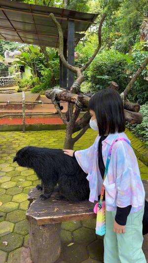 Keliling zoo di Bandung bareng kakak 😍 seru banget #zoo #Bandung #familytime #holiday 