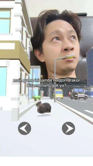 sebranging kucing oiia tercepat di dunia