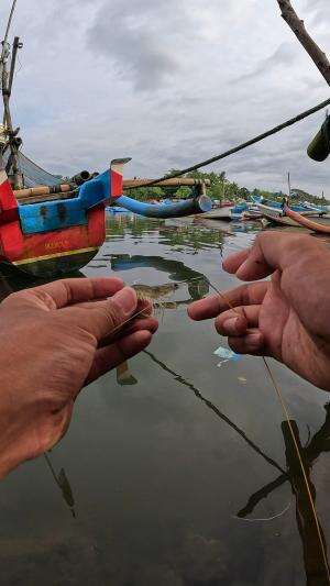 segampang itu #mancing #fishing #shrimp #udang #nelayan #laut #jaring #ikan #reelsviral #animals #skill #fyp #trending