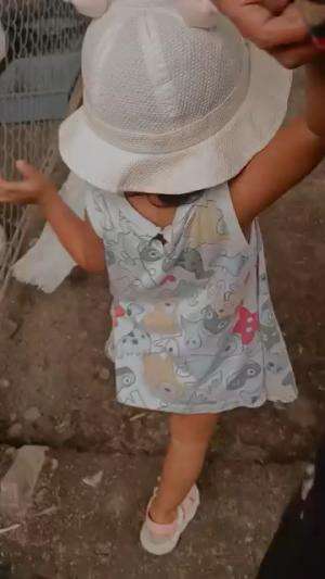 Interaksi bersama si kecil di Kandang #peternakmuda #menthokjumbo #muscovyduck