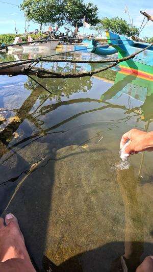 tutorial nangkap udang #udang #nelayan #laut #jaring #ikan #fbpro #reels #reelsviral #duniaikan #skils #fyp #trending