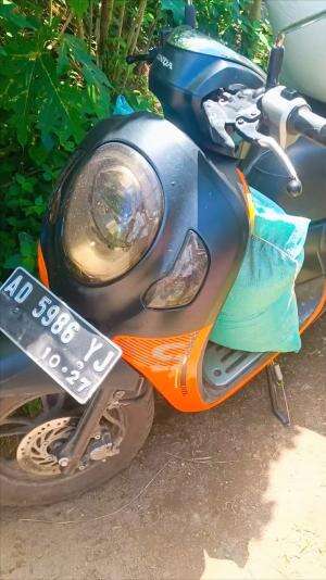 Belanja pakan dan pesanan dari sedulur-sedulur peternak unggas area sekitar Kandang