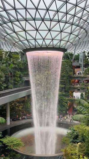 Changi Airport✨ #singapura  #traveling  #changiairport