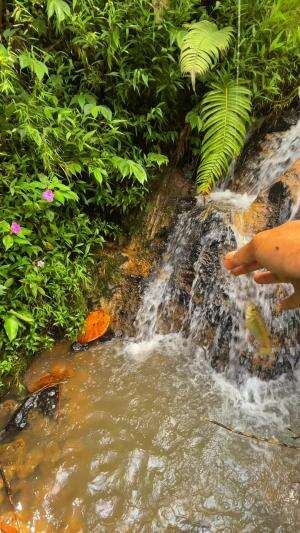 Satu umpan satu ikan