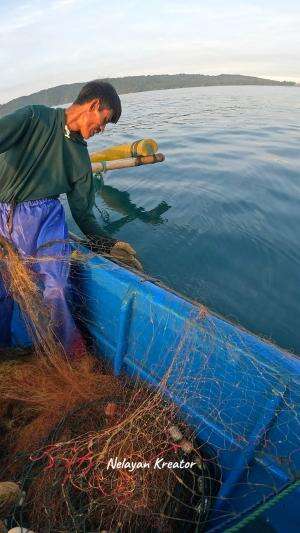 menangkap udang jerbung mahal