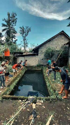 Borong ikan di kolam, bikin ngakak #Cara mancing  #fishing  #memancing 