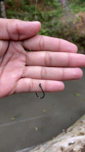 Mancing tanpa umpan strike ikan predator 