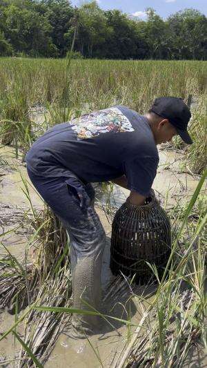 Cari ikan pakai alat sarakap