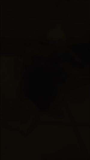 tingkah burung #burungkicau #fyp 