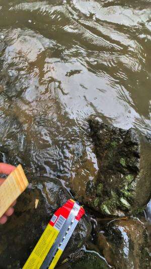 Jajanan bocah seribuan buat umpan mancing ikan