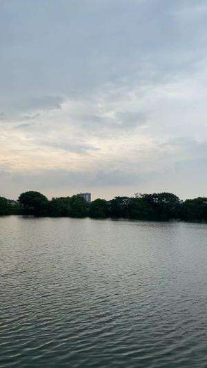 strolling with a lake view.so relaxing. #citra8 #lakeview
