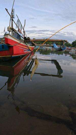 seni mancing udang tradisional #fishing #shrimp #fish #sea #traditional #usareels #UnitedStates #reelsviral #skils #fyp #trending