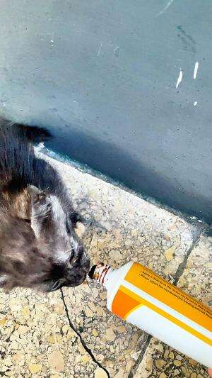 rivew national gel #fyp #fypシ 