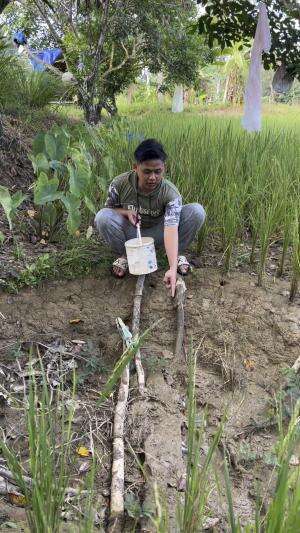Sumur kering ada ikan