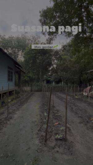 Pagi-pagi buah tiwadak jatuh