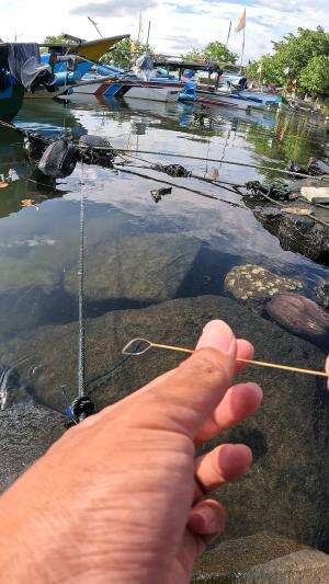 cara mancing udang #mancing #fishing #shrimp #udang #nelayan #laut #jaring #ikan #reelsviral #animals #skill #fyp #trending