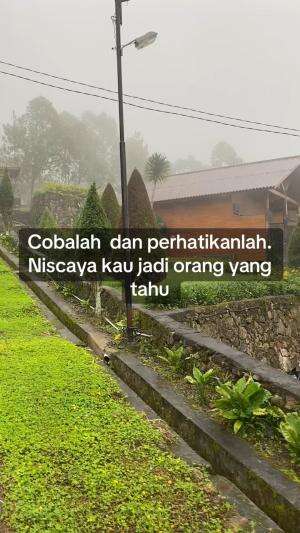 Suasana penginapan 