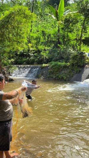 Njaring ikan sampai kewalahan