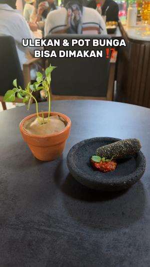 orang gila mana makan ulekan sambel sama isi pot bunga