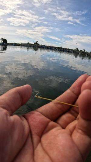 ga butuh waktu lama #udang #nelayan #laut #jaring #ikan #fbpro #reels #reelsviral #duniaikan #skils #fyp #trending