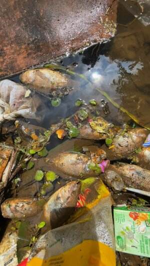 Mancing ditempat sampah