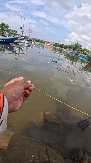 Fishing using traditional tools #fishing #creative