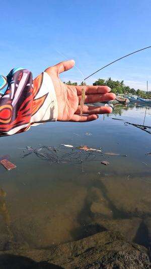 teknik rahasia #mancing #fishing #shrimp #udang #nelayan #laut #jaring #ikan #reelsviral #animals #skill #fyp #trending