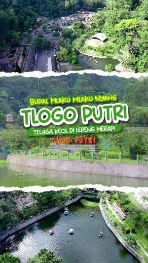 Tlogo Putri adalah destinasi wisata alam yang menakjubkan dengan pemandangan danau, udara yang segar, dan suasana yang menenangkan. Tempat y