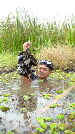 Berburu Kerang Monster Didasar Rawa