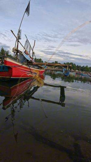 only a few people know this trick #fishing #shrimp #fish #sea #traditional #usareels #UnitedStates #reelsviral #skils #fyp #trending