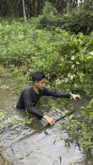 Perangkap yang ke 3 ini banyak banget ikannya😱