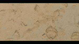 Masih belum move on sama tempat sebagus ini #karimun_jawa 