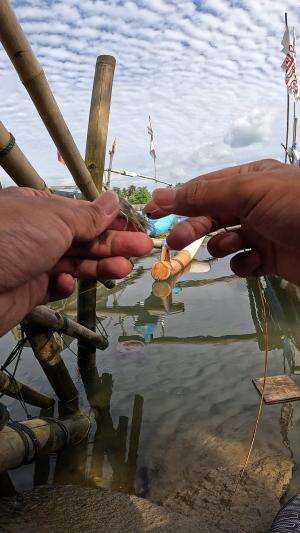 alat tangkap udang tradisional #fishing #shrimp #fish #sea #traditional #usareels #UnitedStates #reelsviral #skils #fyp #trending