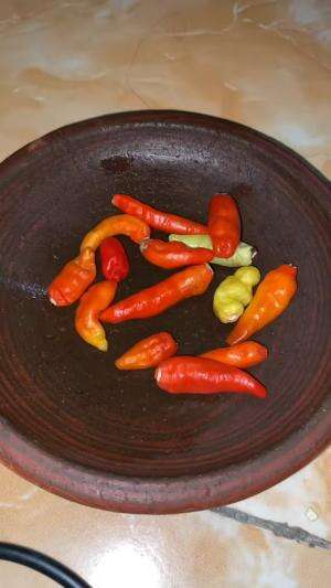 siapa suka sambal?