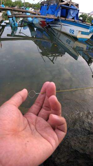 udang nya berhasil kabur ??