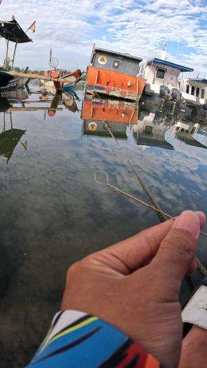 cara kami nangkap udang #mancing #fishing #shrimp #udang #nelayan #laut #jaring #ikan #reelsviral #animals #skill #fyp #trending