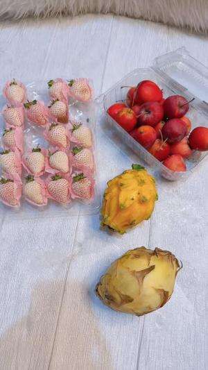 bikin jus dari buah-buahan aneh